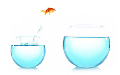 Goldfish jumping from glass aquarium, isolated on white