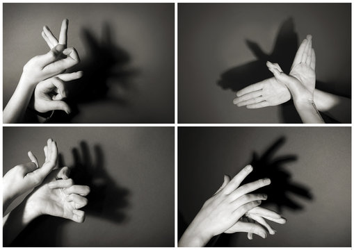 Hand Shadow Puppets Images – Browse 1,744 Stock Photos, Vectors, and Video  | Adobe Stock