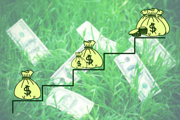 Money concept. Banknotes money over green grass background