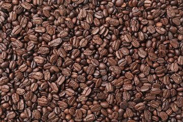 Coffee beans background