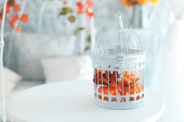 Клетка для птиц с осенней композицией