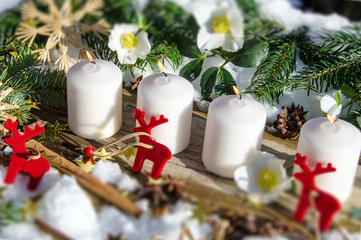 Frohe Weihnachten: Adventsgedeck mit Christrosen, Rentieren und Goldsternchen :)