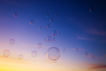 Background with soap bubbles floating in the sunset sky