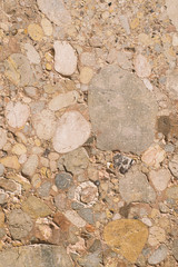 Soil texture of stones with several measures