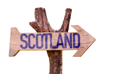 Scotland wooden sign isolated on white background
