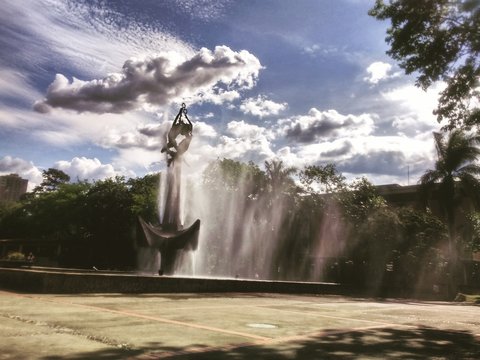 Fuente udea