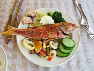 Cooked fish and seafood- mussel squid cucumber