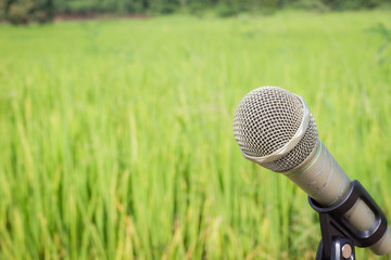 microphone on the background of blurred rice field. soft focus .