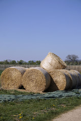 hayballs on a field