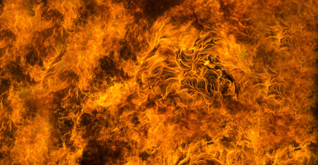 fire background or texture