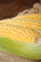 sweetcorn with green leaves