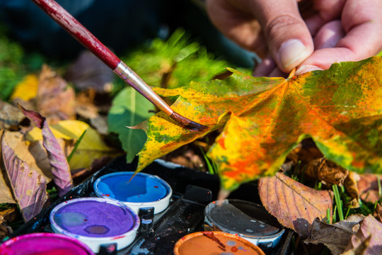 farbenfroher Herbst