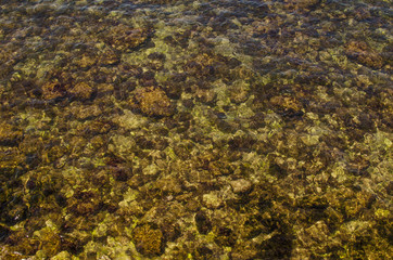 Seabed with rocks. Background