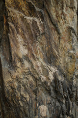 Rock background, Gray and yellow.