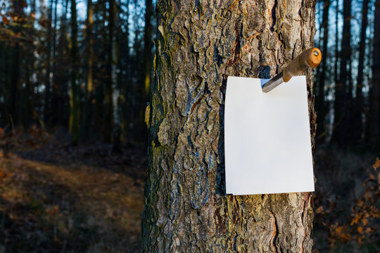 White paper sheet on tree trunk