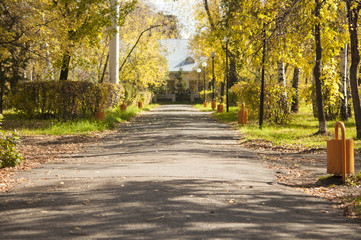 Fototapeta na wymiar autumn scenery; alley in a park