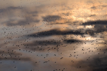 Manych lake sky reflection