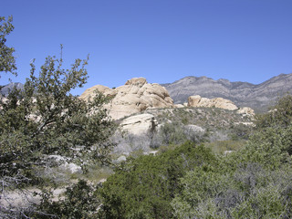 Red Rock Canyon National Conservation Area