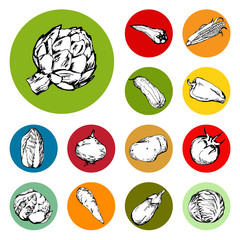 Web icon set of different hand drawn vegetables