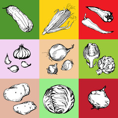 Web icon set of different hand drawn vegetables