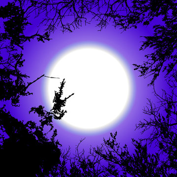 Dark background with black tree silhouettes on the sky and moon