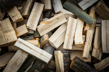 Pile of freshly chopped logs 