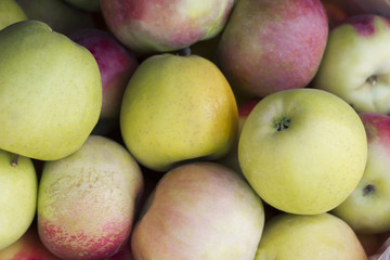 Mcintosh Apples