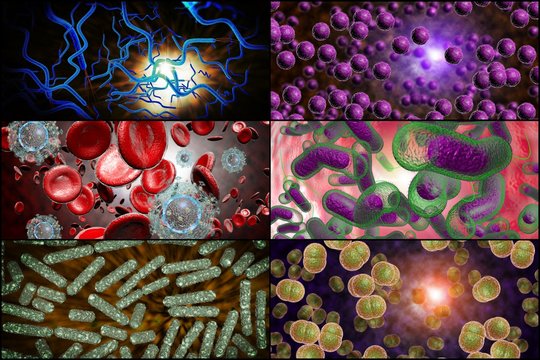 Bacteria Infection Collage