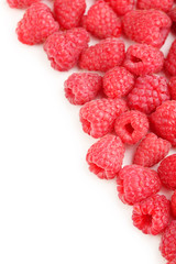 Red raspberry on a white background