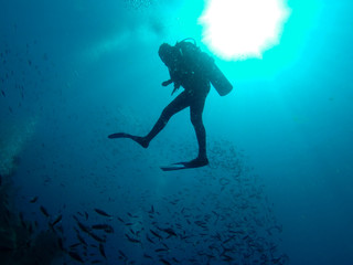 Scuba Diver between shoal of fish in the Philippines