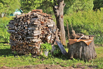 Stump and heap of chopped firewoods on green grass
