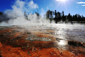 Fountain Paint Pot, Yellowstone National Park
