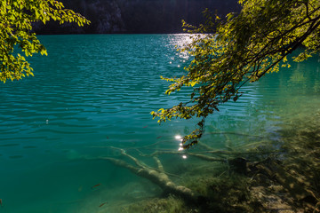 Virgin nature of Plitvice lakes national park, Croatia