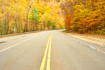 Autumn scene with road