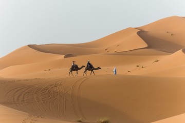 Fototapeta na wymiar Merzouga, Morocco - Circa September 2015 - a camel caravan in th