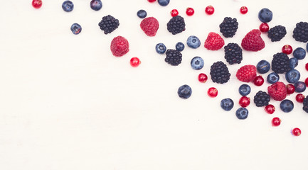 blackberry, raspberry, blueberry anti oxidants hero header
