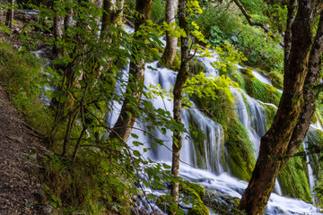 Obraz premium Waterfalls in Plitvice National Park, Croatia