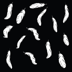 Vector Black and white background with inclusions of feathers for your design