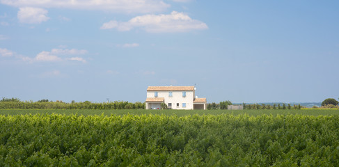 White house in Camargue (Provence)