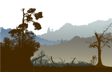Panoramic nostalgic landscape with mountains, silhouettes of trees and plants