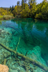 Virgin nature of Plitvice lakes national park, Croatia