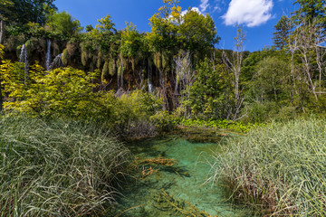 Virgin nature of Plitvice lakes national park, Croatia