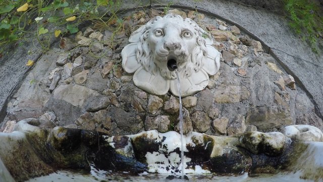 L&ouml;wenkopf aus weissem Carrara-Marmor als Wasserspeier, Lucca, Toskana, Italien