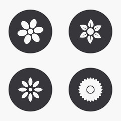 Vector modern flower icons set 