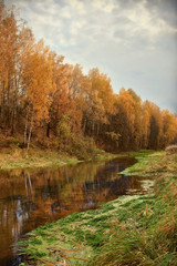 mellow autumn on river bank