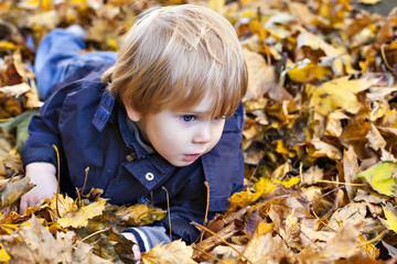 Toddler blond boy with blue eyes lays on bed of autumn fallen leaves
