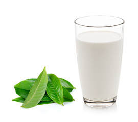 glass of milk and green tea leaf isolated on white background