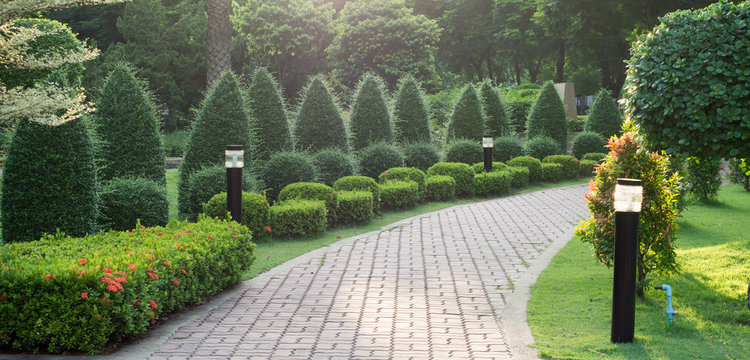 Many tree and Stone pathway into garden in the evening time.