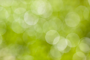 Obraz premium Bokeh green
