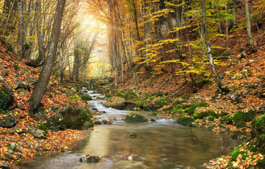 Autumn landscape.